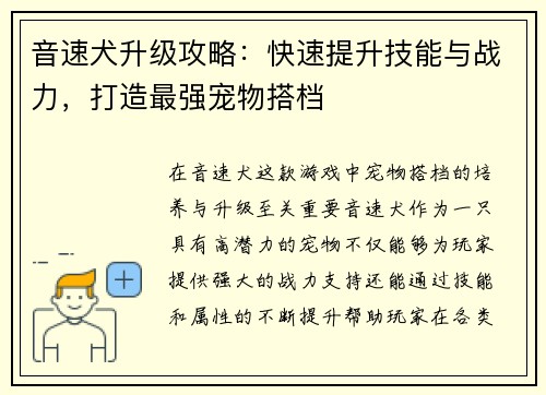 音速犬升级攻略：快速提升技能与战力，打造最强宠物搭档